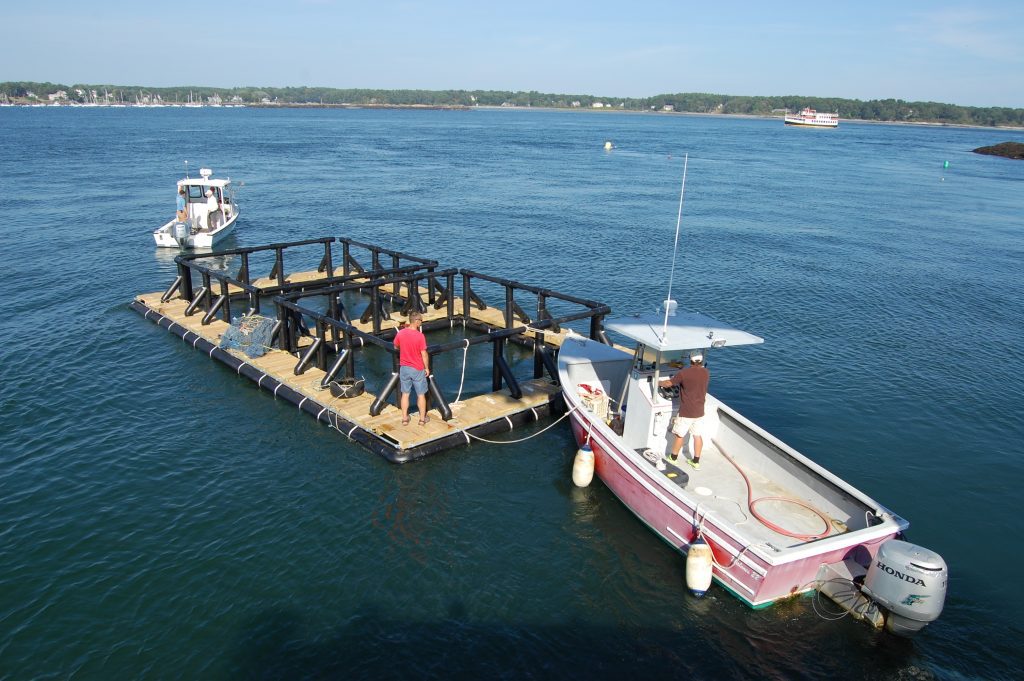 Image of two employees maintaining an aquaculture raft site
