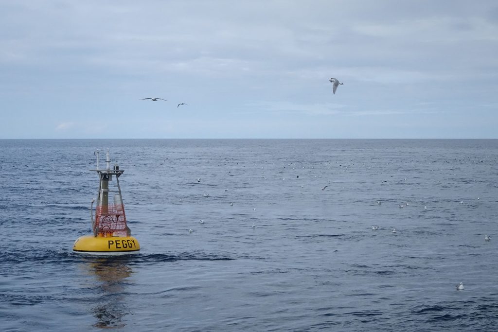 Peggy is a biophysical mooring nicknamed after Peggy Dyson being deployed in the Bering Sea. The biophysical mooring site 2 (M2) is one of the longest running time series of its kind providing near-continuous measurements since 1995 in the southeastern Bering Sea.