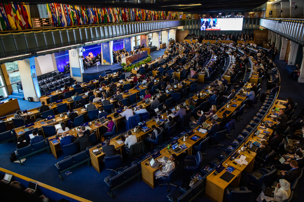Participants at the 31st Meeting of the Parties to the Montreal Protocol on Substances that Deplete the Ozone Layer (MOP 31) in 2019 in Rome
