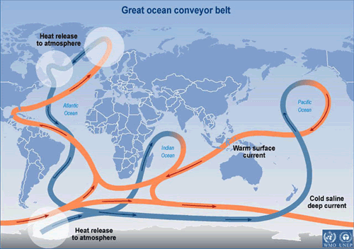 Illustration of how water circulates around the globe through our ocean. blue arrows represent the movement of cold water and red arrows represent warm water. 