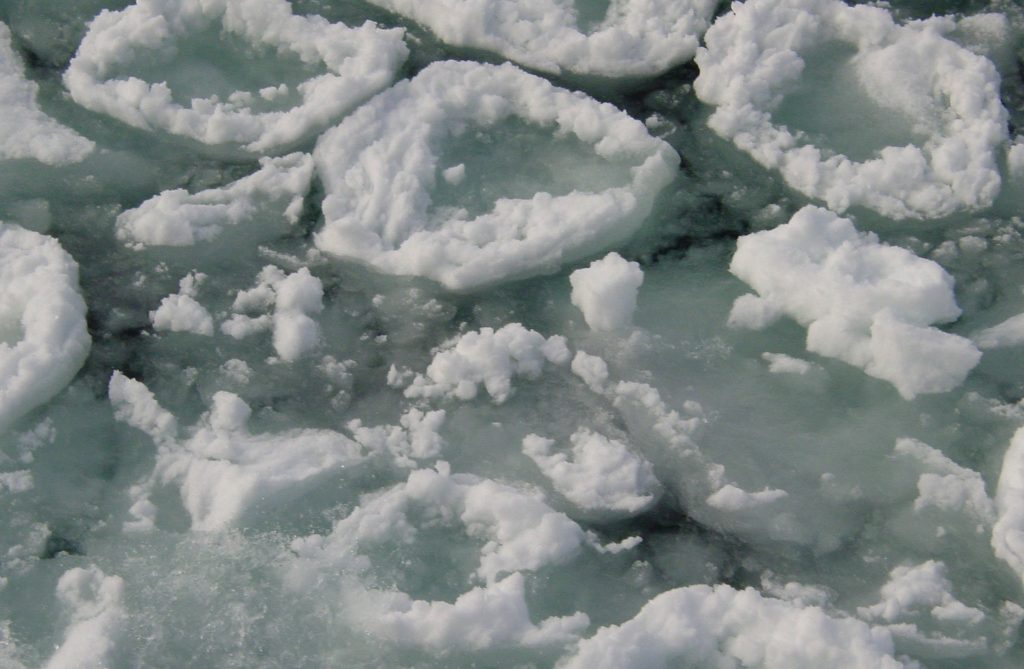 Circular pieces of white ice float on the surface of a lake, nothing else is visible