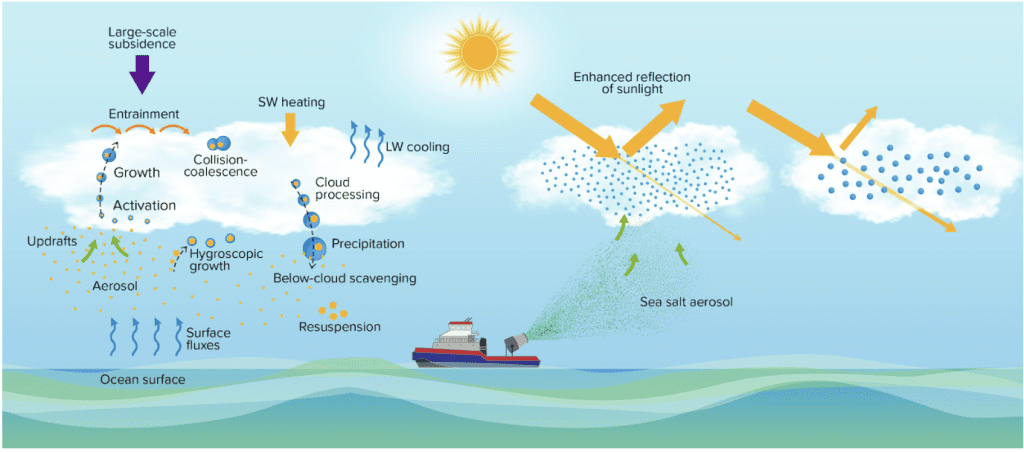 Infographic depicting aerosol, cloud dynamics and radiative processes that turn salt spray aerosol into marine clouds.