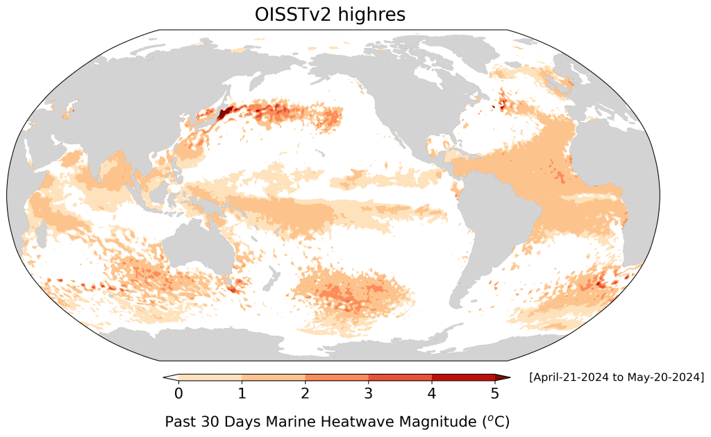 A map showing the current marine heat conditions over a 30-day average compared to records from 1991 to 2020 with darker areas representing a higher magnitude heatwave.