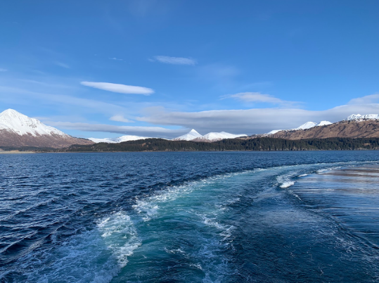 Picture of the Gulf of Alaska and the wake caused by the research vessel with the shore’s treeline and mountains in the background.