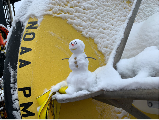 Miniature snowman created during the research cruise placed on a NOAA Pacific Marine Environmental Lab mooring.