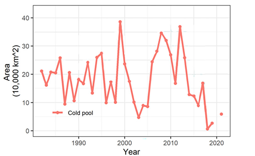 A graphic showing variations in the extent of the Bering Sea cold pool from the 1980s to present