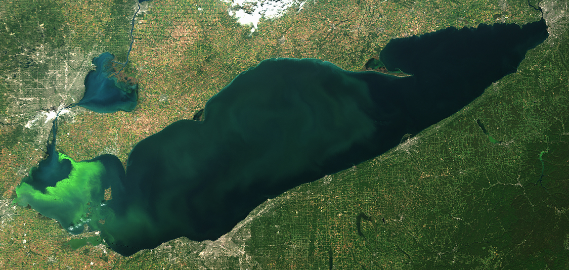 Satellite image of Lake Erie during a harmful algal bloom