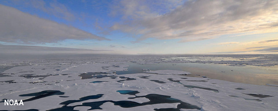 Overhead shot of Arctic sea ice